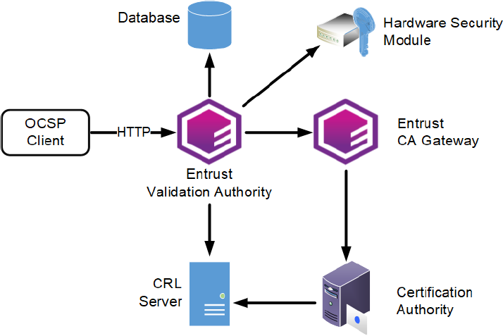 eva architecture