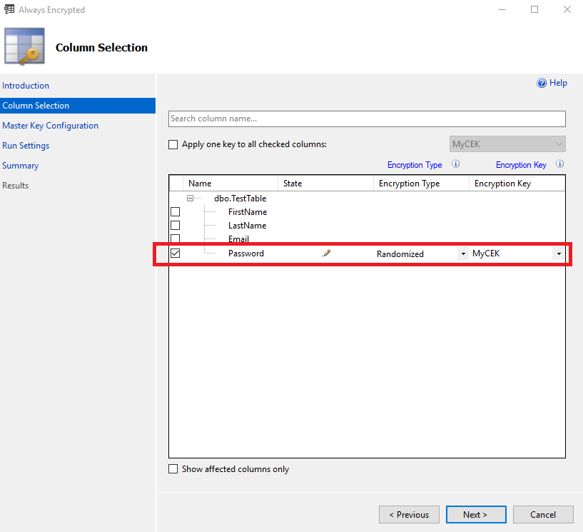 encrypt ssms column selection