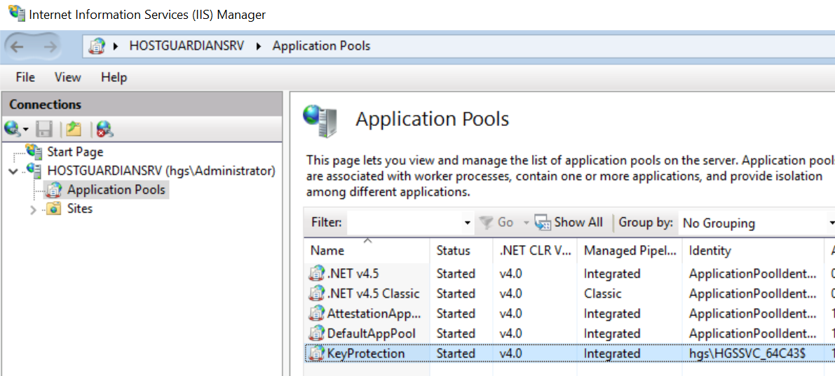 Initialize HGS 1 Verify Key Protection Running