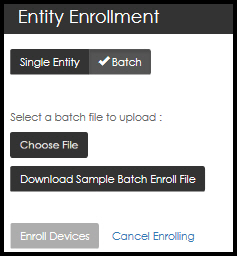 Download entity batch file