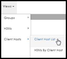 View client hosts
