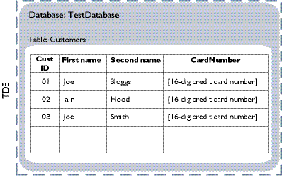 TDE encryption/decryption only